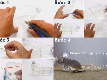 Hướng dẫn cách làm bẫy chuột bằng vỏ chai nhựa
